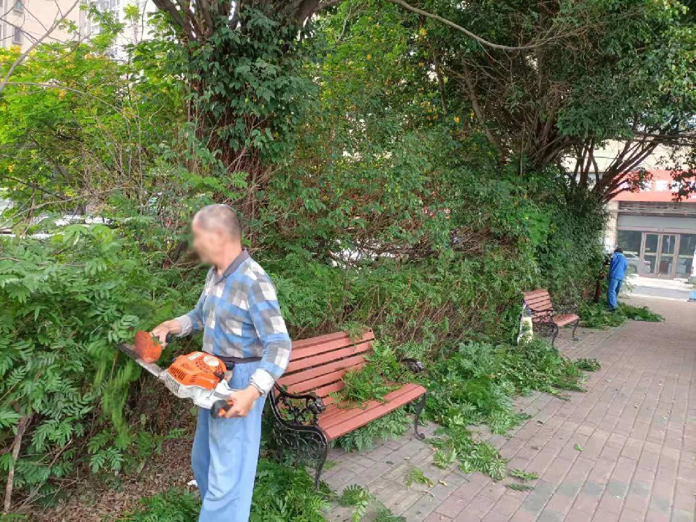 佛山學校校園綠化修剪養護